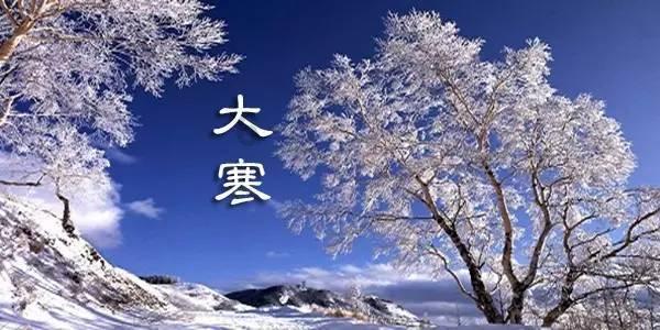 疯狂的小偷